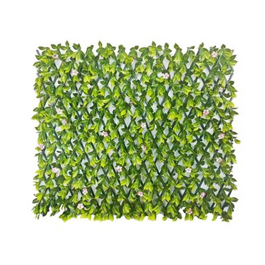 Roślinna krata na zewnątrz