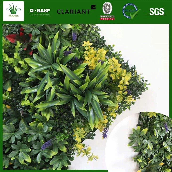 Wewnętrzna ściana winorośli