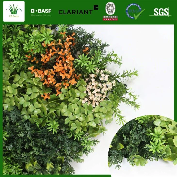 Wewnętrzna ściana roślin