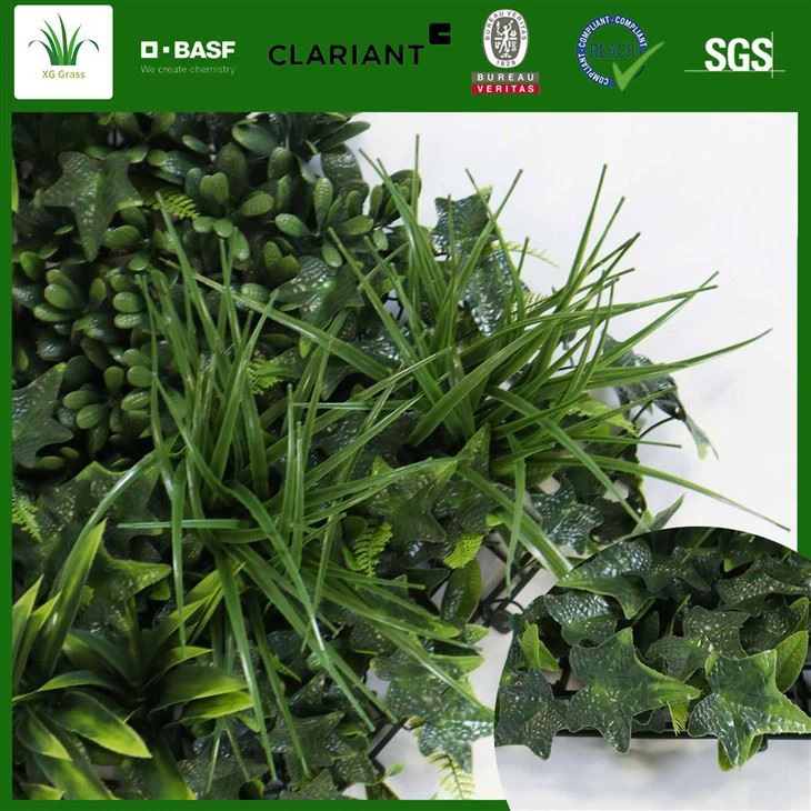 Żywa ściana z mchu w pomieszczeniu