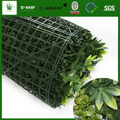 DIY Living Wall Wewnątrz