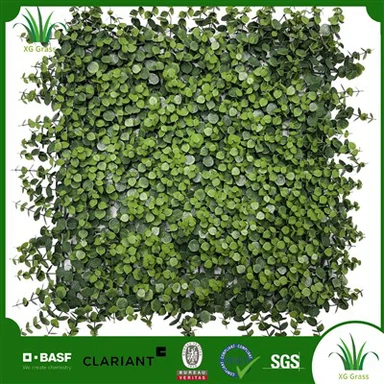 Ściana roślin domowych