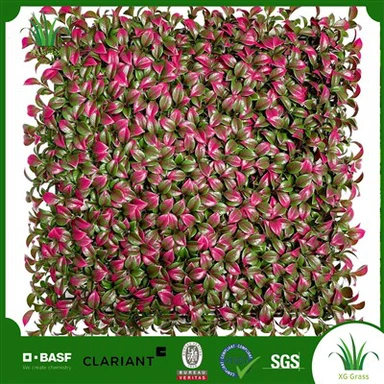 Ściana roślin domowych