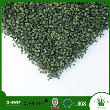 Wewnętrzna ściana z trawy