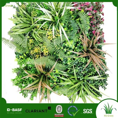 Wewnątrz ściana bluszczu