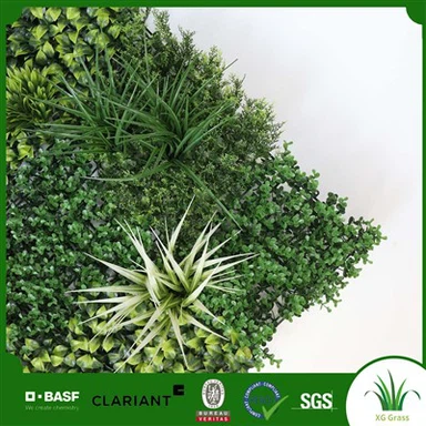 Mech we wnętrzach żyjącej ściany