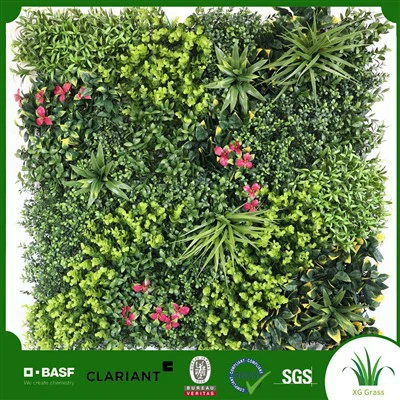 Roślinna ściana wewnętrzna