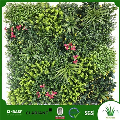 Roślinna ściana wewnętrzna