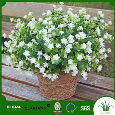 Jedwabne rośliny w pobliżu mnie